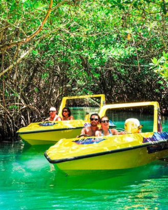 Jungle tour.